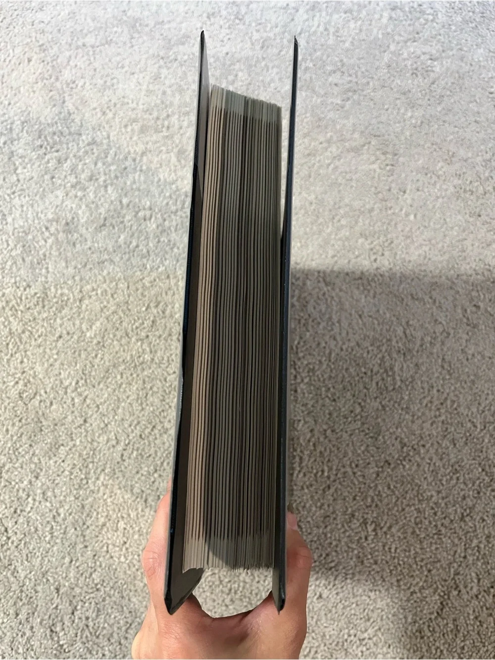 McGraw Hills Taxation of Individuals & Business Entities 2024 Edition Loose Leaf